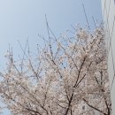 함안등기소 이미지