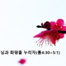 하나님의과 화평을 누리자(롬4:30~5;1) 이미지