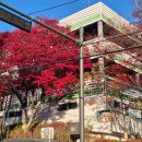 하늘봄한의원 | 서울 호텔 | 종로 아늑 호텔 앤 스파 종로운니점 내돈내산 솔직 후기