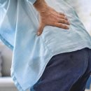 백곰 짐 이미지