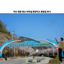 충민로6길 | 여수 벚꽃 명소 터미널 중앙여고 벚꽃길 후기