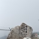 팔공산 하늘정원 | 팔공산 산행(22산/100대명산) : 케이블카 코스(비추) + 팔공산온천관광호텔 온천(강추)