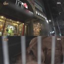 누렁이농장 네이버블로그