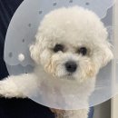 해뜨는 동물병원 이미지