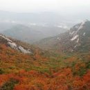 단풍 - 부여군 | 단풍