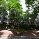 한사랑세탁소 이미지