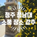 국화낚시터 | 충청권 주말 나들이 장소 추천, 청남대 (주자팁 및 제대로 즐기는 법)