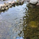 ㈜천일오토모빌 이미지