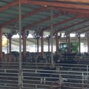 훈이네목장 이미지