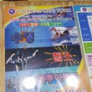 영스포츠타운(수영장) 이미지