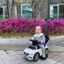 포기 하고 있었습니다. 이미지