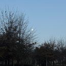 코코넛족발닭발 | 202601.zip