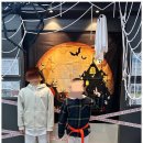 XPL태권도장 이미지