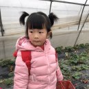 리안농장 이미지