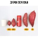 참농농장 이미지