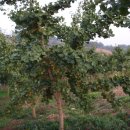 등구농장 이미지