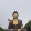 소인국테마파크 전시관 이미지