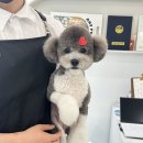 코코바코 이미지