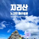 언니네PC | [구례]지리산 노고단 여름 등산 후기 | 아이들과 가족 산행 준비물/예약방법 정리