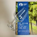 [와인교육] WSA 와인아카데미 WSET2 중급 온라인 수강 후기