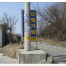 승순농장 Daum카페