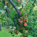 서당골민박 이미지