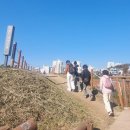 엔돌핀젤리 | 초례산&amp;나불지 생태공원. 겨울을 맞이하며(M 클럽 11. 19. 30호)