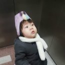 쟈니어린이집 이미지