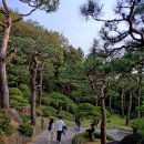 용인자연휴양림 이미지