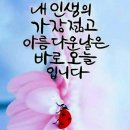 축복의통로 이미지