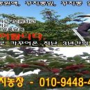 홍정농장 이미지