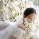 스튜디오하와