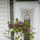 아이조아라 이미지