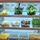 동대문역(4) | 대홍샤브샤브 창신점 | 동대문역 맛집 무한리필 샤브샤브 후기