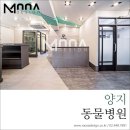 양지동물병원 이미지