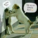 16 이미지