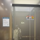 청화약국 | 35주 2일 | 청화병원 막달검사 후기(태동검사, 채혈, 심전도검사, 흉부엑스레이 등! 내진 없음XX)