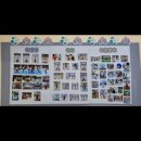 국가대표 키즈 태권도장 이미지