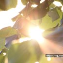 햇빛마을작은도서관 이미지