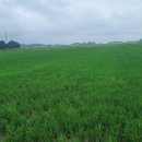 송석보건진료소 이미지