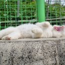 아름이농장 이미지