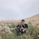 제주도 애월 서귀포 2박3일 부모님 환갑 자유여행 (1일차 :: 제주김만복 / 새별오름 / 오설록티뮤지엄...