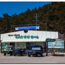 가사도민박 이미지