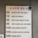 돼한민국 이미지