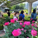 동일로163길 (16) 이미지