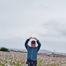 가파초등학교 이미지