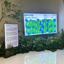 정원기획 | 2025 DDP 디자인 아트 둘레길 기획전시 | 창작의 정원 주차 작가 일정 후기
