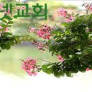 성경 인물의 기도 생활 / 호쉬아 이미지