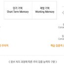주의집중