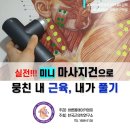 실전!!! 미니 마사지건으로 뭉친 내근육, 내가 풀기 교육안내(일정수정) 이미지